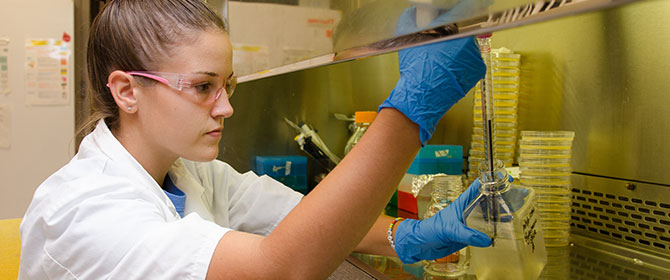 Undergrad-intern-Lindsey-Cook-testing-irrigation-water-quality_pageheader