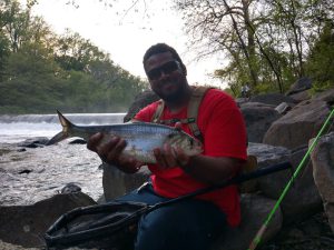 Musky Mike catches an American Shad at Brandywine Dam No. 2 (May 6, 2020)