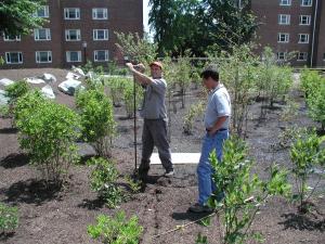 Augering UD rain garden 2 Jun 2005