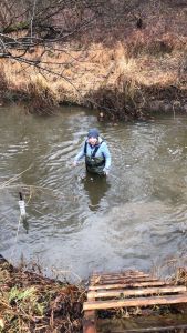 UD Energy and Environmental Policy Grad Student Kelly Jacobs conducts research along White Clay Creek National Wild and Scenic River (Winter 2020)