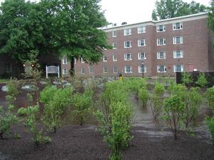 UD Rain Garden 1 May 2005