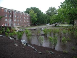 UD Rain Garden 2 May 2005