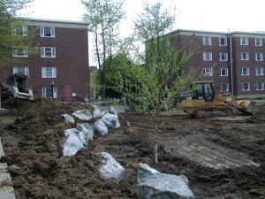 UD Rain Garden 6 May 2005
