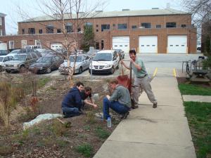 Working at the UD rain garden Apr 2008